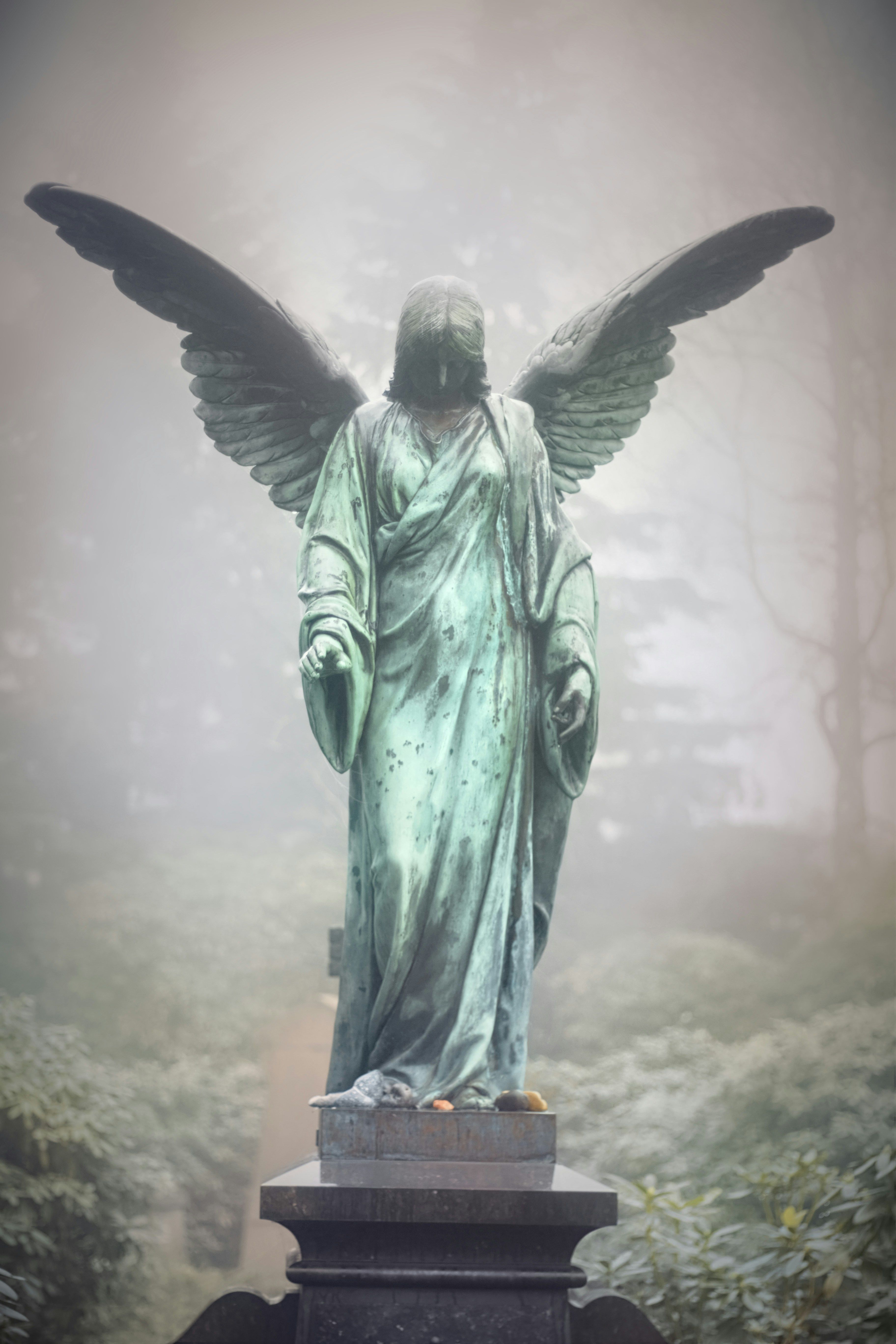unsplash_TEZLseYfyz0